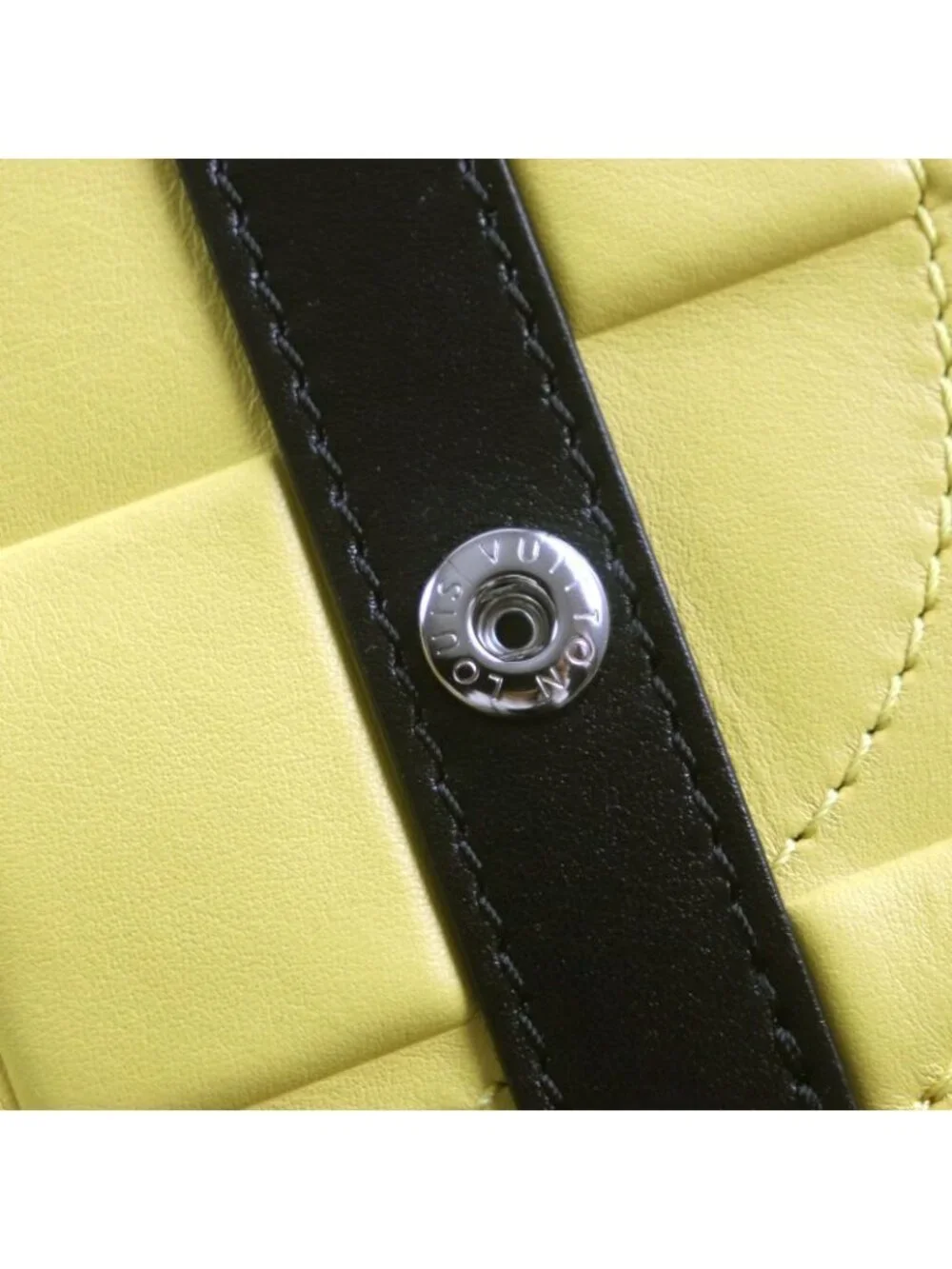 Louis Vuitton brand louis